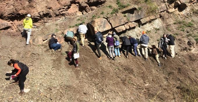 Students working on a field project